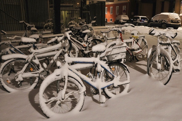 Winterimpressionen   049.jpg